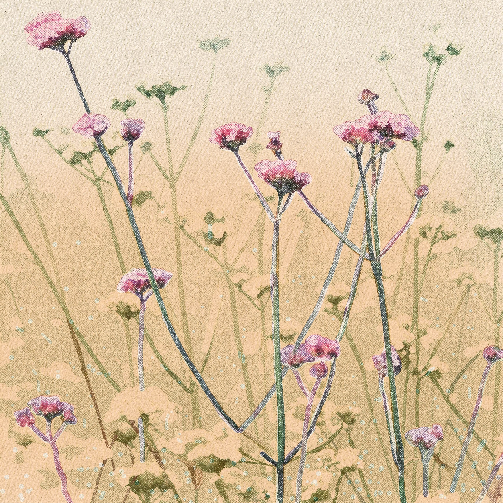 Close rendering of tall, thin stems topped with small purple flower clusters against a peach background.